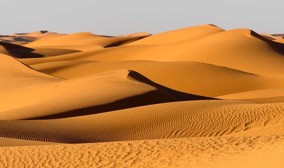 7 Days Desert Tour From Casablanca